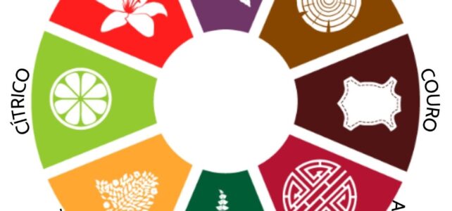 Tipos de Famílias Olfativas: Como Escolher a Melhor Fragrância para Cada Ambiente Tipos de Famílias Olfativas: Como Escolher a Melhor Fragrância para Cada Ambiente