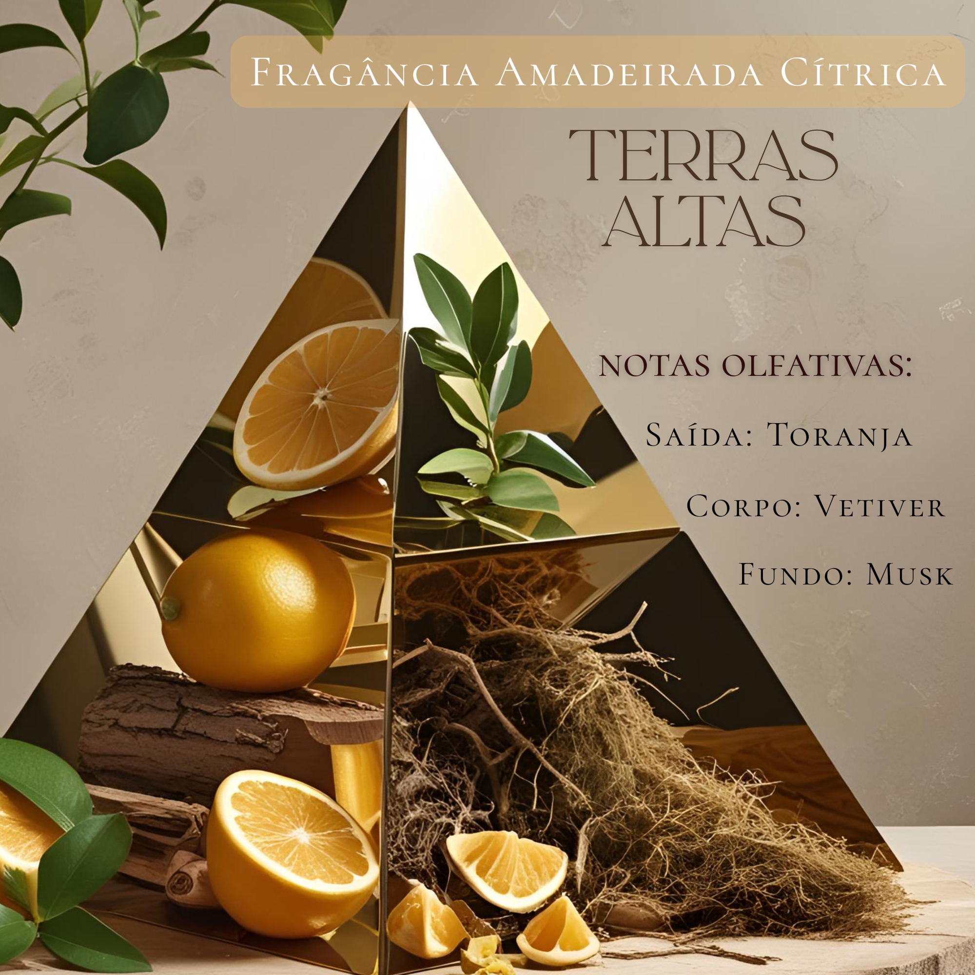 Vela Aromática Masculina Terras Altas 200g - Imagem 2